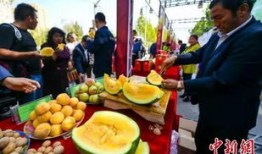 吃瓜最新事件爆料辽宁